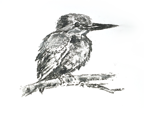 A black and white pencil drawing of a blue Kingfisher on a brach of a free.