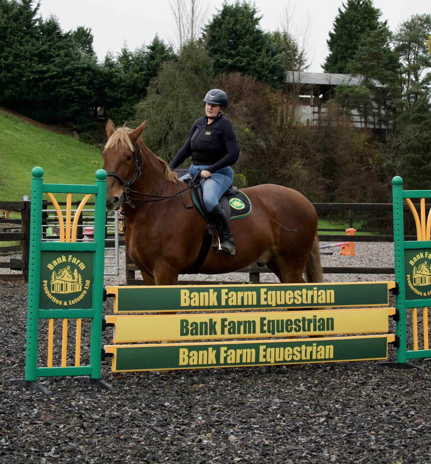 Horse and rider by jump