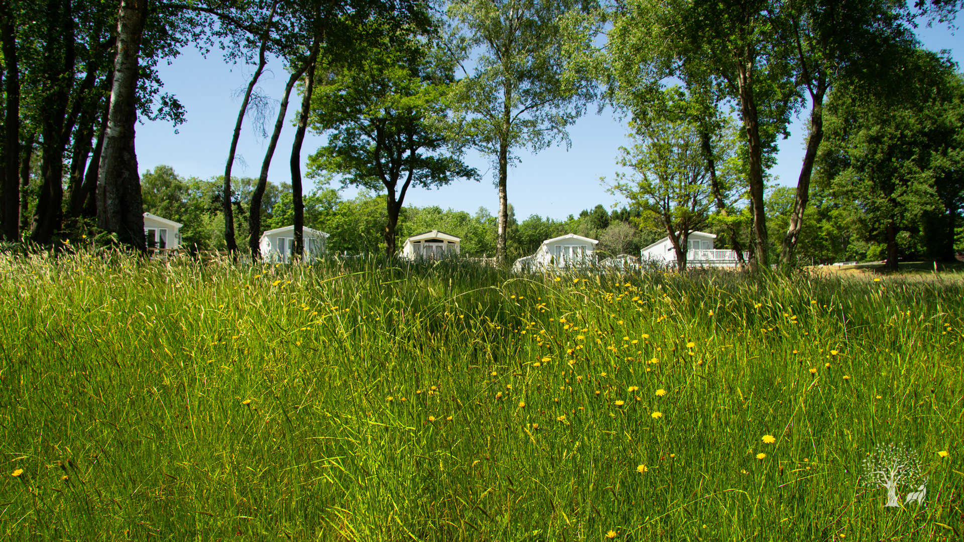 A great view of Lodge Coppice static caravan park. Looking up the meadow at 4 static caravans.