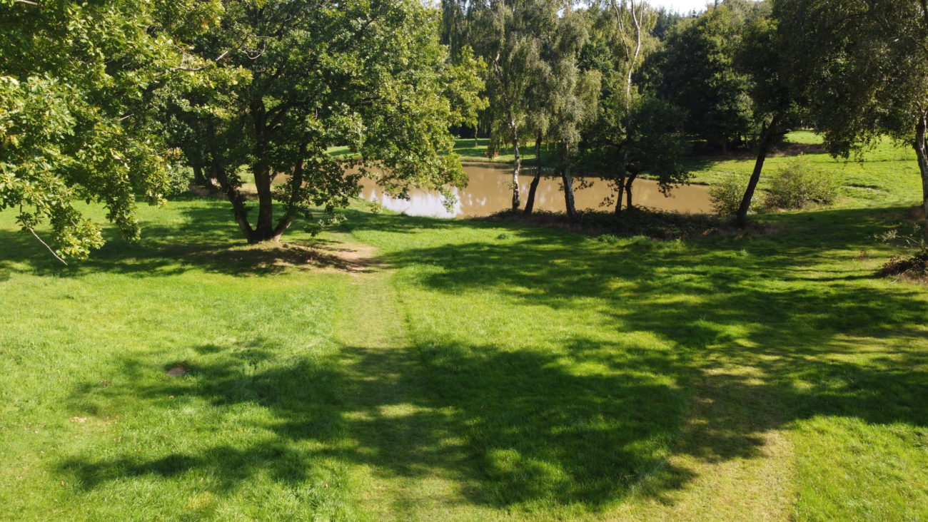 The open walks around lodge coppice with trees and pool