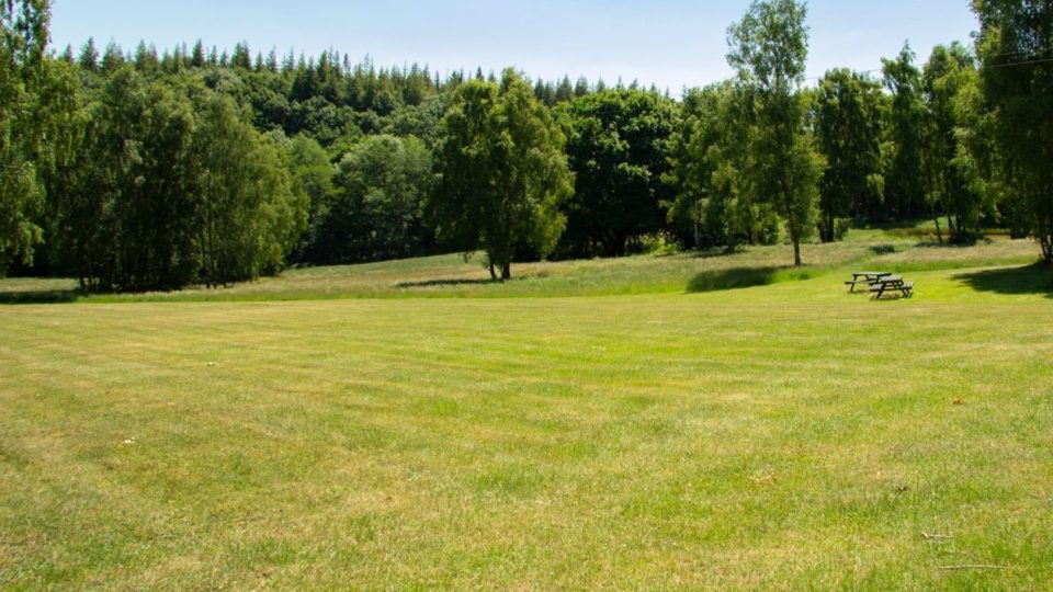 A mown lush green meadow, with the forest edging the scene, the sky is blue and the trees’ shadows are short.