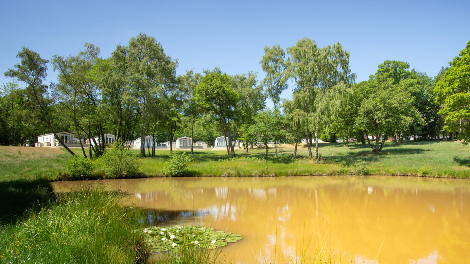 lodge-coppice fishing pool Static caravans around a fishing pool at lodge coppice