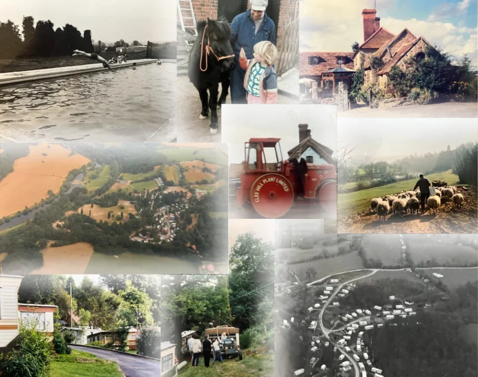 Collage-of-History-of-BFPL