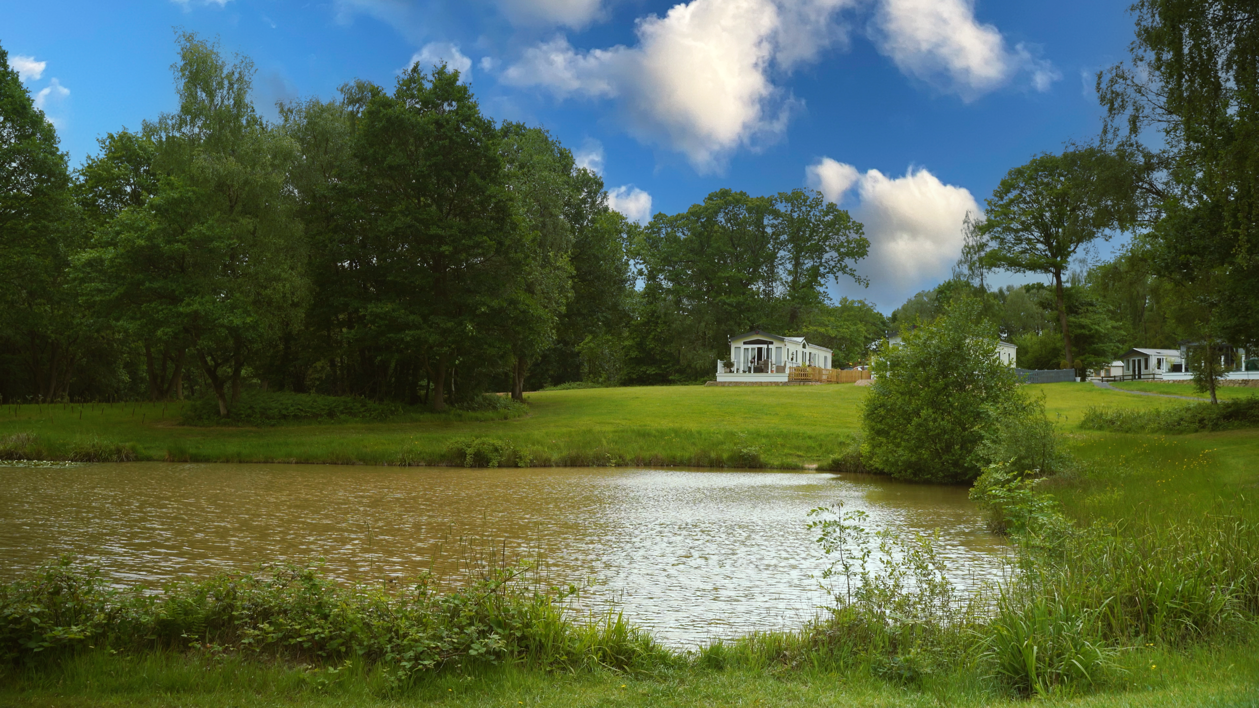 Stunning woodland surroundings at Lodge Coppice Holiday Park